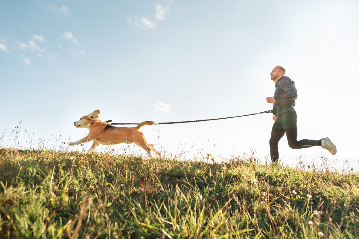 Man jogging with his dog on grass in front of blue sky